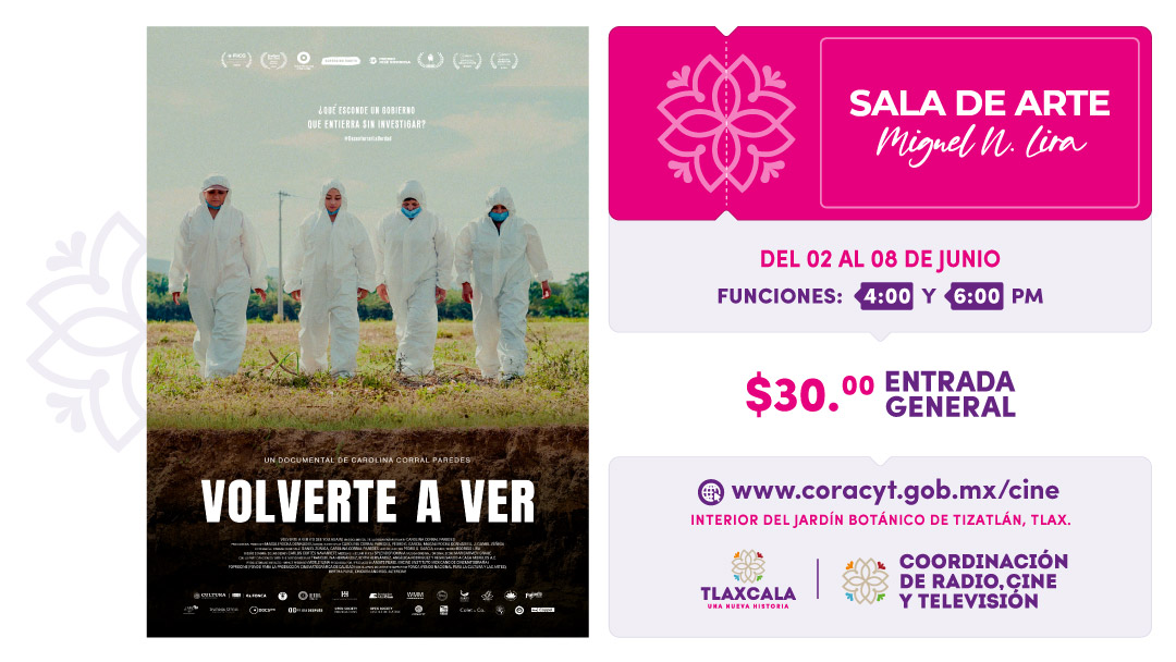 volverte a ver WEB